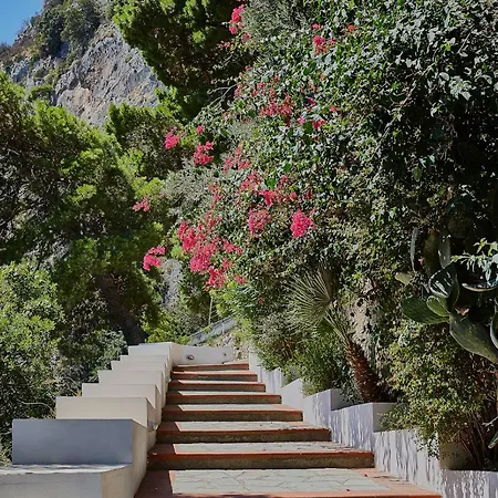 Leonardo Tatil Evi *