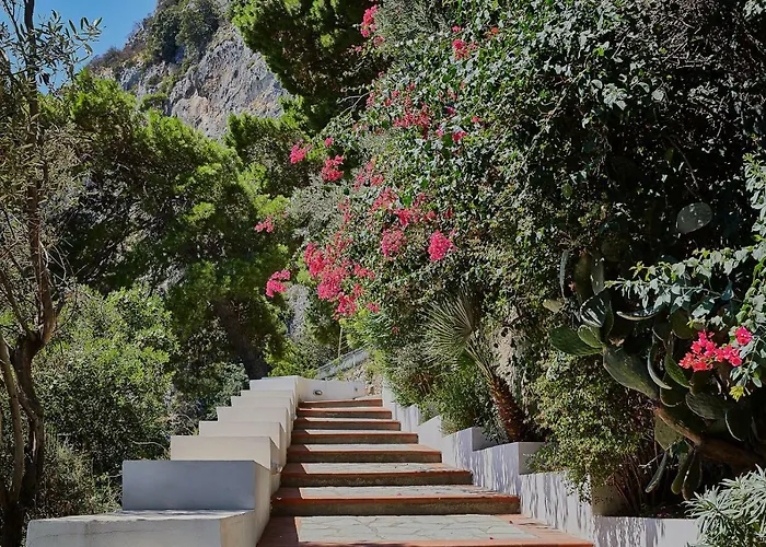 Leonardo Tatil Evi *